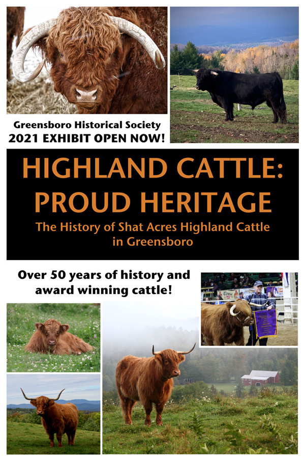 Heritage Highland Cattle Breed Has Value for Today's Producers